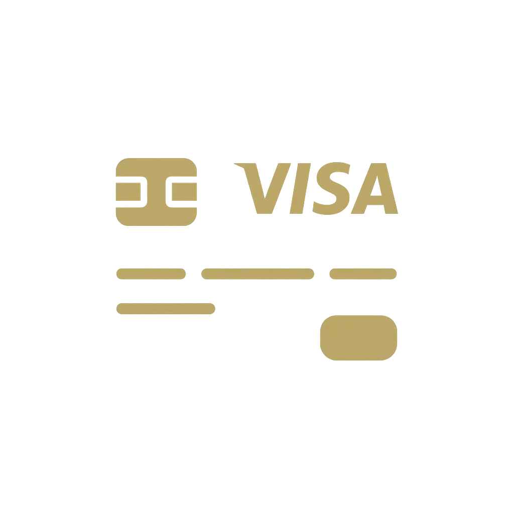 Visa payment icon